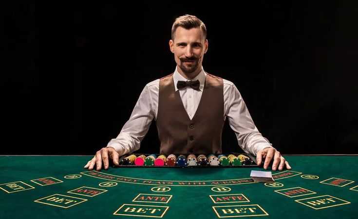 bingopatti Live Casino
