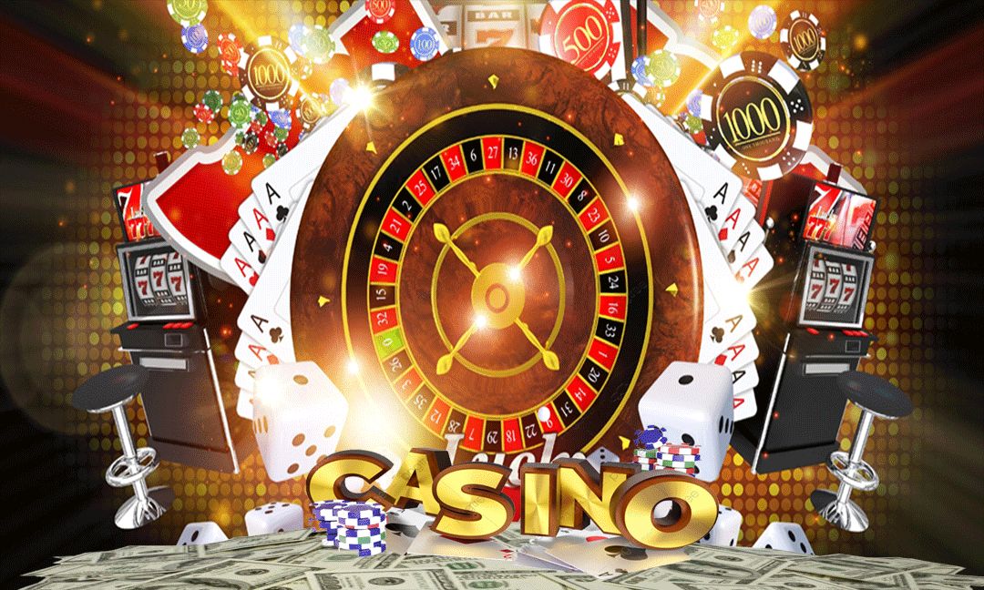 bingopatti Live Betting